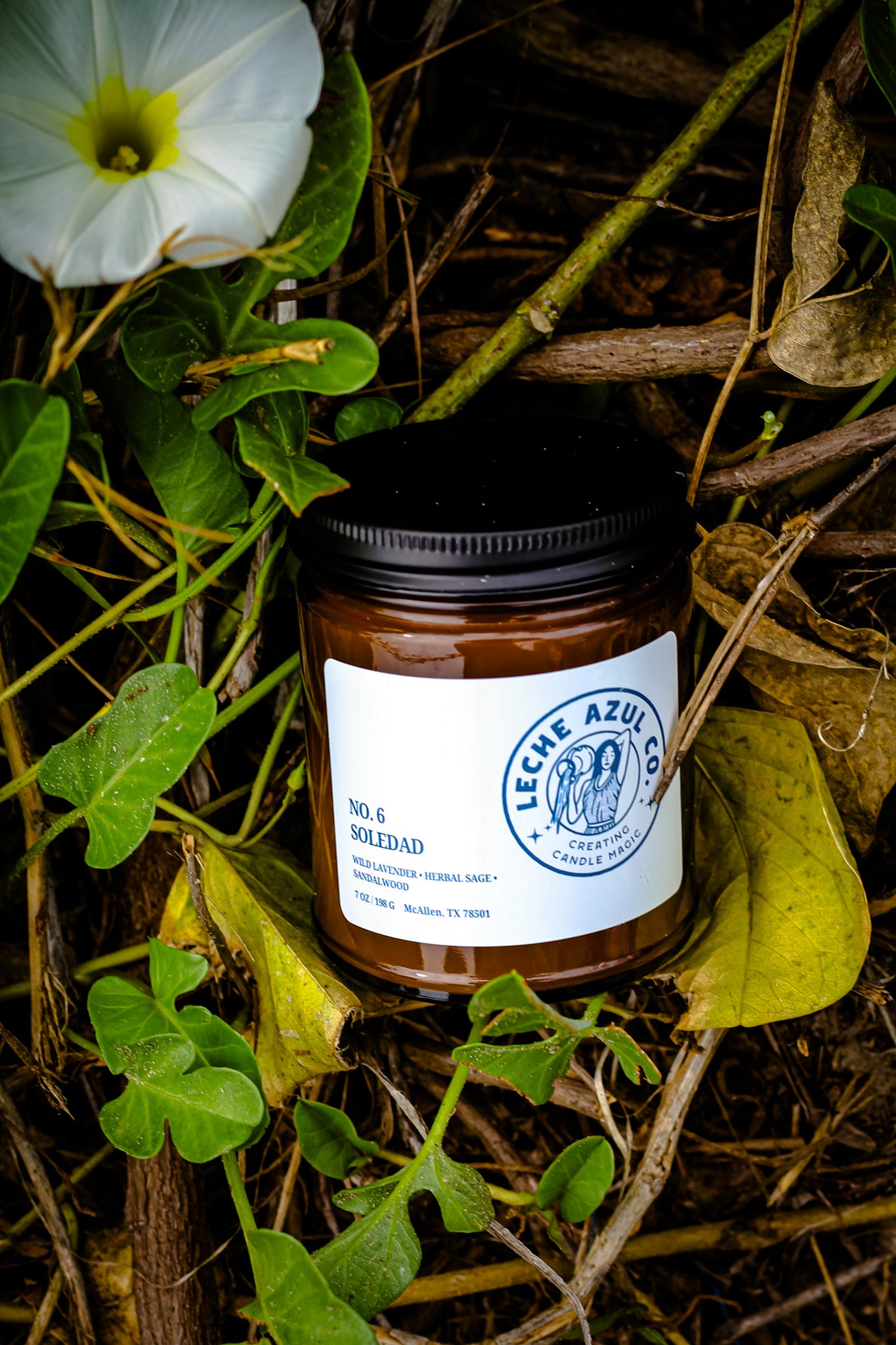Leche Azul Co. Fine Fragrance Coco-Soy Candle Collection
