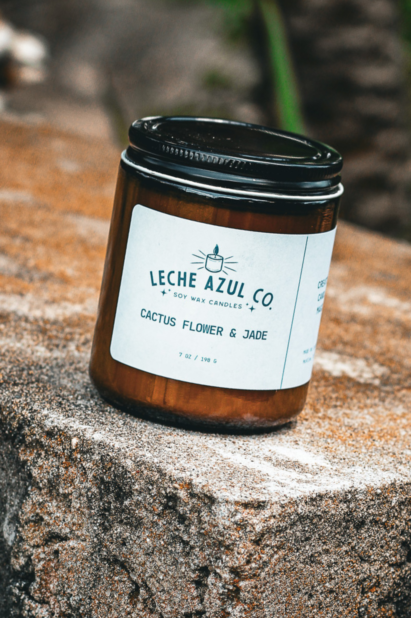 Leche Azul Co. Cactus Flower & Jade soy wax candle in a signature 7 oz amber glass jar with a black lid, resting outdoors on a textured stone ledge.