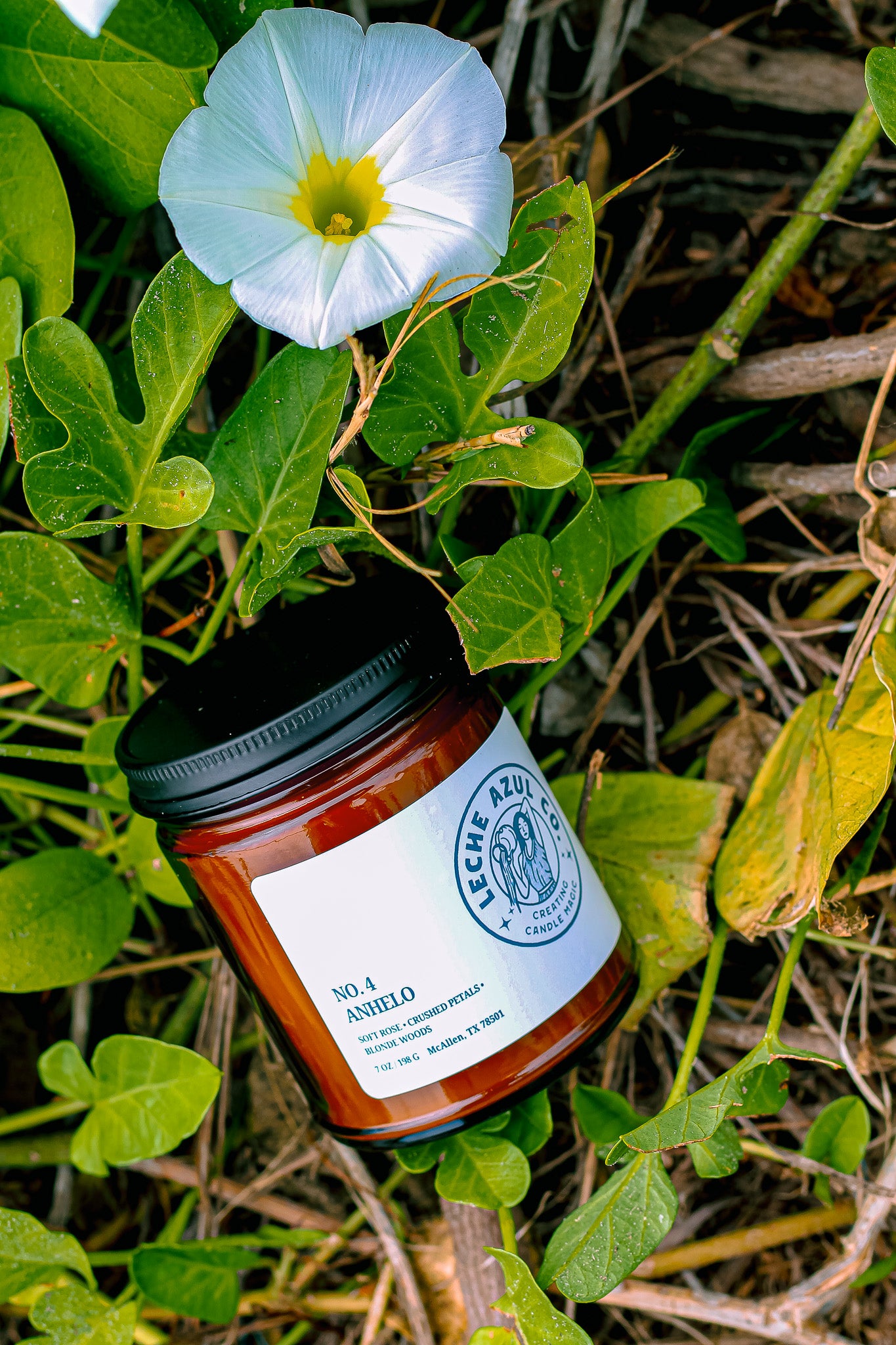 Leche Azul Co. Fine Fragrance Coco-Soy Candle Collection