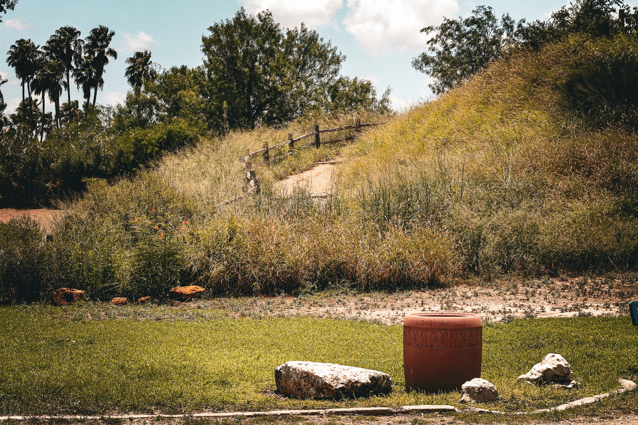 A wide-angle landscape photograph showcasing native plant life and terrain under a partly cloudy sky. In the foreground, a manicured green lawn features decorative rocks and a large terracotta planter. Behind the lawn, a grassy hill covered in dense brush, wild grasses, and desert shrubs slopes upward, with a rustic wooden post-and-rail fence lining a dirt path. Tall palm trees and lush green trees frame the background of the nature trail scene.